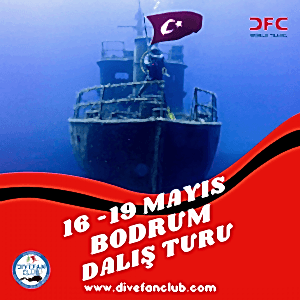 16-19 MAYIS BODRUM DALIŞ TURU