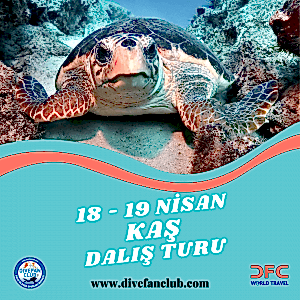 18-19 NİSAN KAŞ DALIŞ TURU