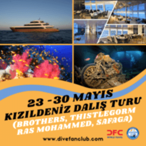 23-30 MAYIS HURGADA-BROTHERS-THİSTLEGORM-RAS MOHAMMED KIZILDENİZ DALIŞ TURU