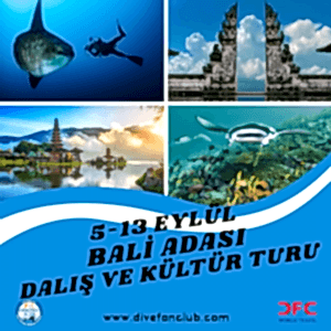 5-13 EYLÜL BALİ ADASI DALIŞ VE KÜLTÜR TURU