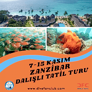🌊 7-14 KASIM ZANZİBAR DALIŞLI TATİL VE KÜLTÜR TURU