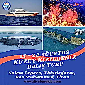 15-22 AĞUSTOS KUZEY KIZILDENİZ LİVEABOARD DALIŞ TURU